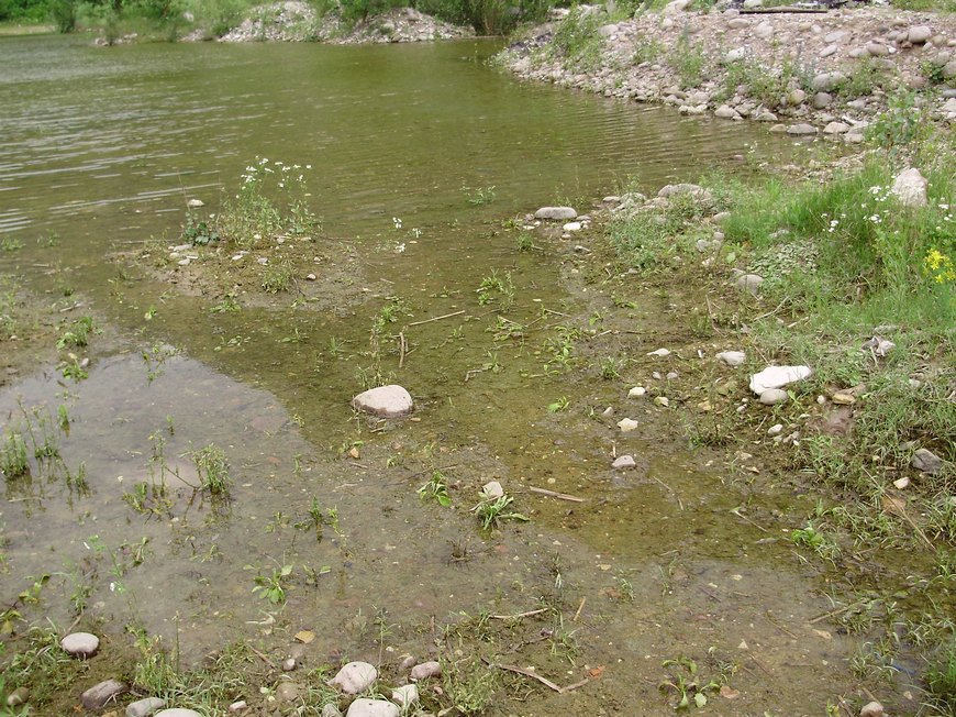 La Valle dell''Adige e l''ululone